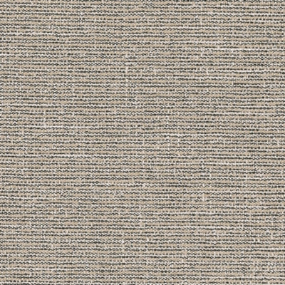 Cliffs Beach Outdoor Lounge Chair with Cushion (Set of 2)