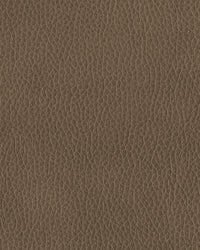 Pittsman Recliner;Biscotti
