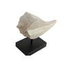 White/Black Sculpture