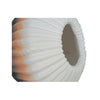Vase;Multi