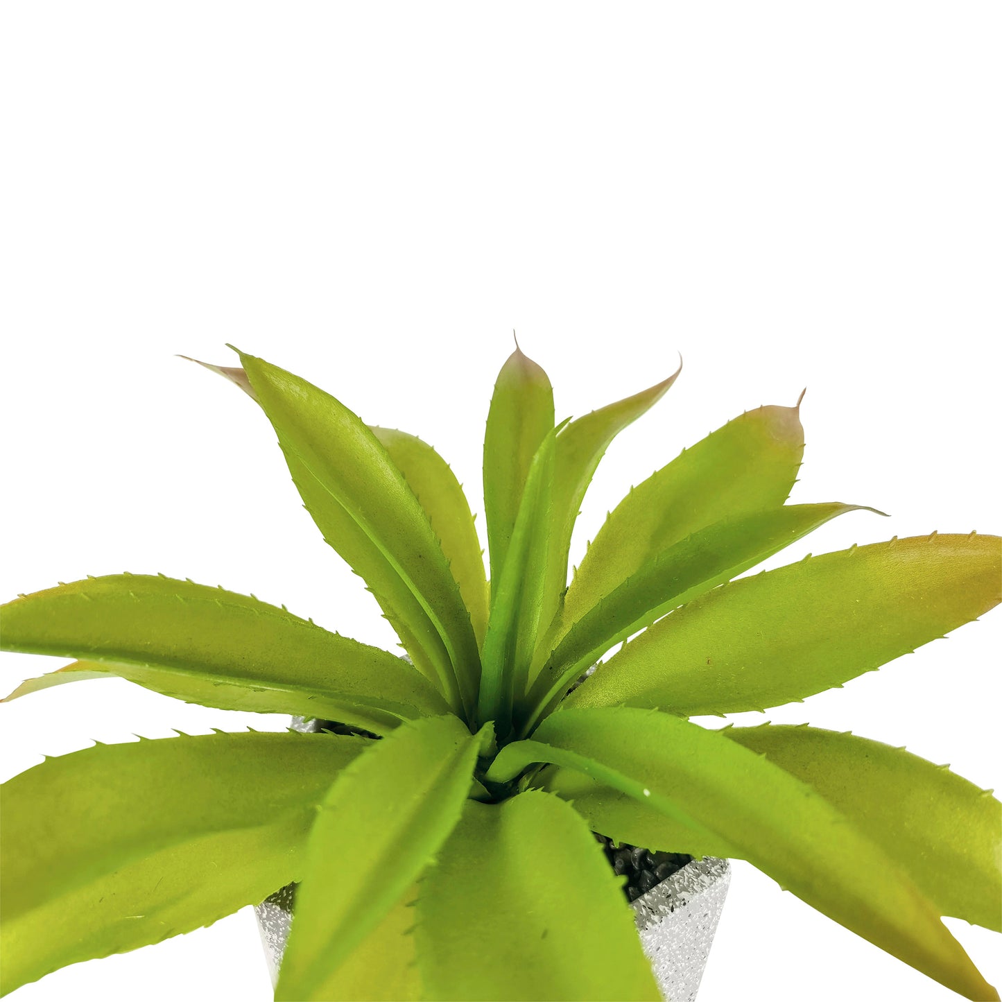 Greenery;Green