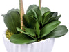 Greenery;Green
