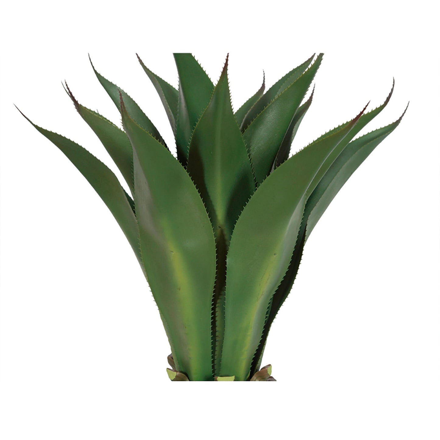 Greenery;Green