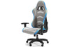 Lynxtyn Swivel Adjustable Height Gaming Chair with LED Lighting; White/Gray