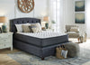 Limited Edition Plush King Mattress