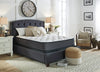 Limited Edition Plush Queen Mattress