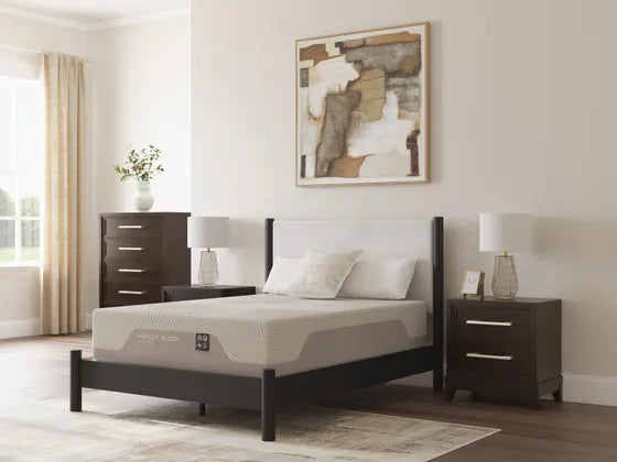Terra Sleep Firm King Mattress;White