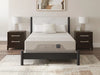 Terra Sleep Firm QueenMattress;White